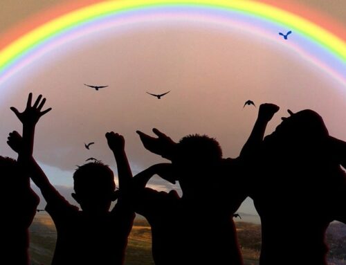 Immigration Enforcement and Children: What the “Freaky Friday” Reports Mean